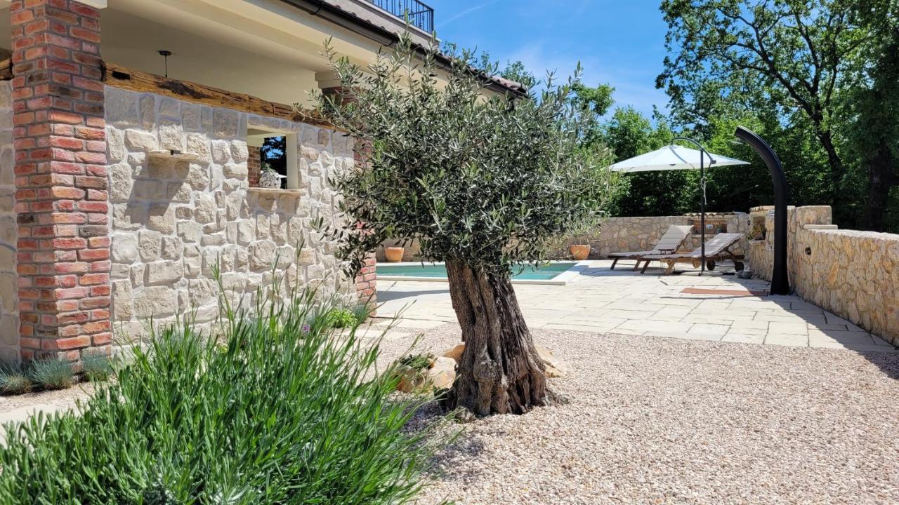 Milohnici Villa Alara - Charming Villa With Heated Swimming Pool מראה חיצוני תמונה